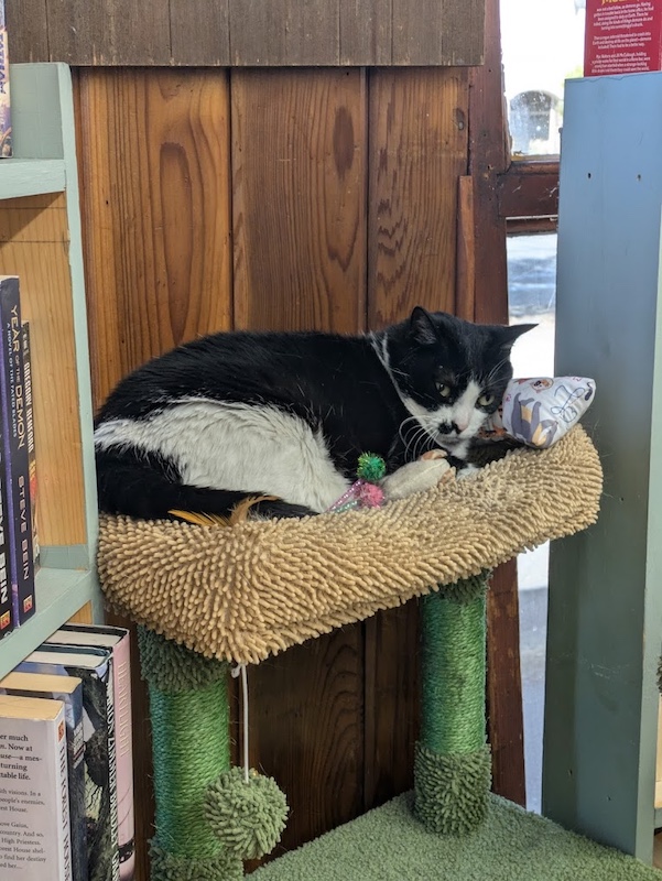 Browse our used books in the store or use out online book inventory.